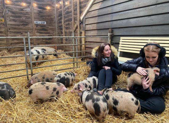 All the fun of the farm