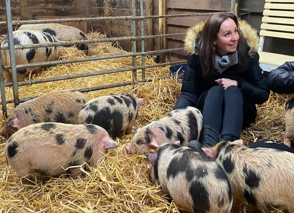 All the fun of the farm