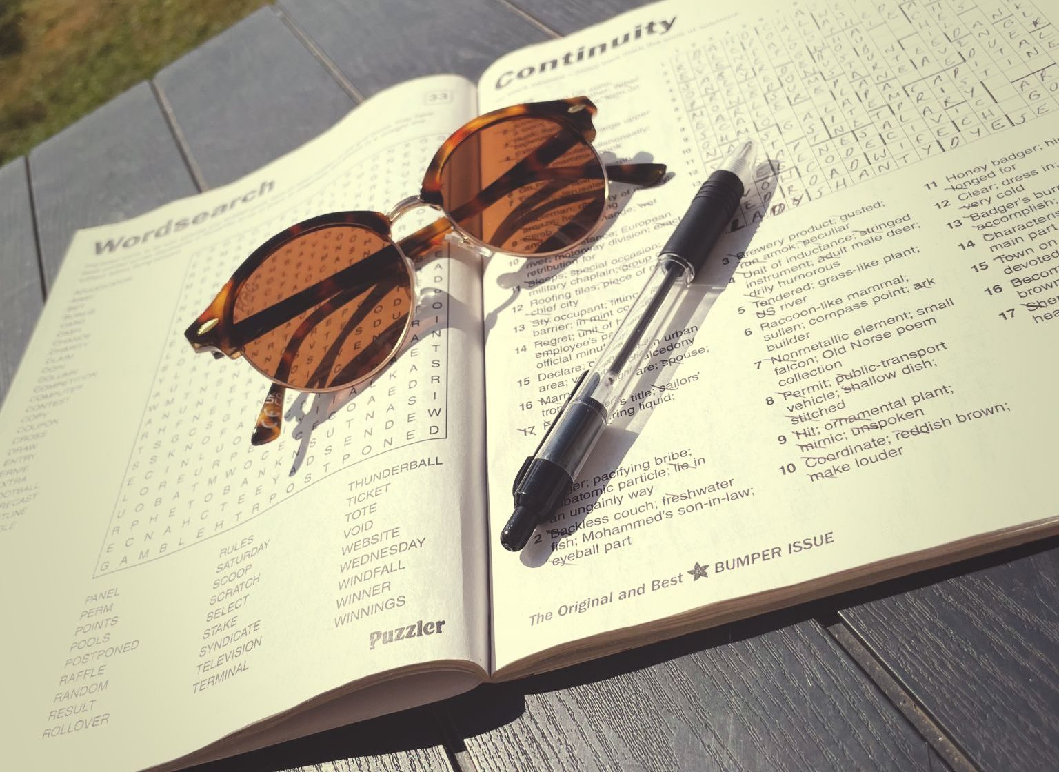 Who doesn't love a puzzle in the sunshine?